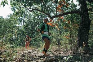 BIB: 
                            <button type="button" onclick="openModal(26111039)" class="btn btn-primary btn-sm float-right btn-popup" data-toggle="modal" data-target=".modal-high-quality">
                        <i class="fas fa-shopping-cart"></i> Add to Cart
                    </button>
                                            <button type="button" onclick="isThisMe(26111039, true)" class="btn btn-success btn-sm float-right btn-popup btn-isme hidden" data-toggle="tooltip" data-placement="bottom" title="นี่คือรูปของคุณใช่ไหม คลิกที่นี่เพื่อเอาเข้าอัลบั้ม">
                        <i class="fas fa-plus"></i> Add to album
                    </button>
                    <button type="button" onclick="isThisMe(26111039, false)" class="btn btn-warning btn-sm float-right btn-popup btn-isnotme hidden">
                        <i class="fas fa-ban"></i> Remove from album
                    </button>